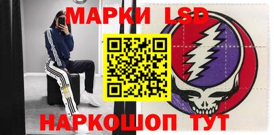 стафф Гатчина