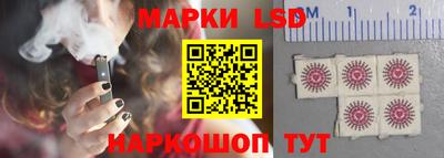 стафф Гатчина