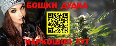 стафф Гатчина