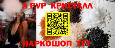 спиды Гусев