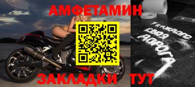 стафф Гатчина