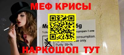 стафф Гатчина