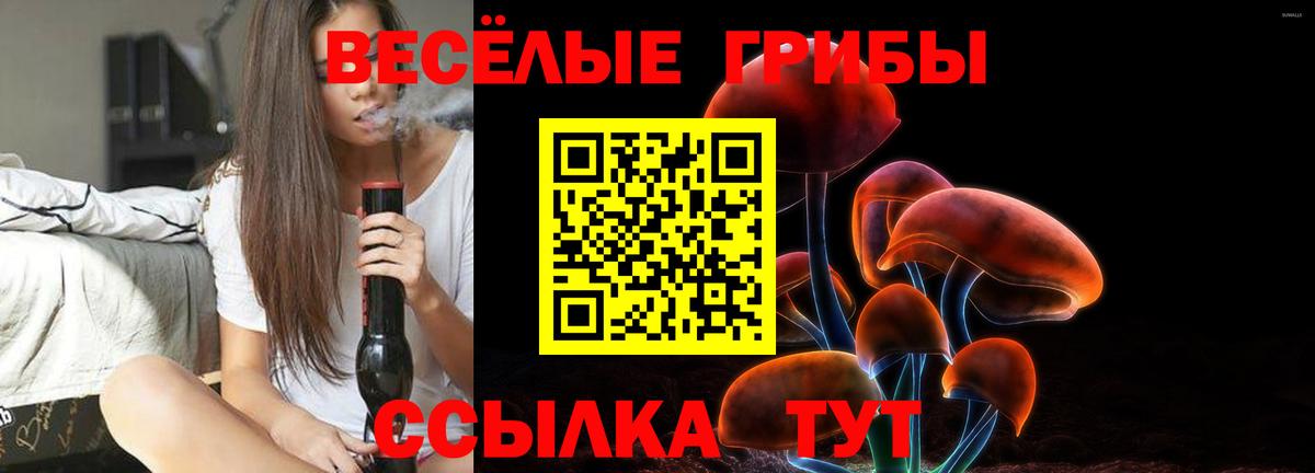 Псилоцибиновые грибы мицелий  Галлюциногенные грибы мицелий  Вход с VPN  Кузнецк 